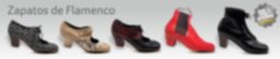 Zapatos de Flamenco Personalizado